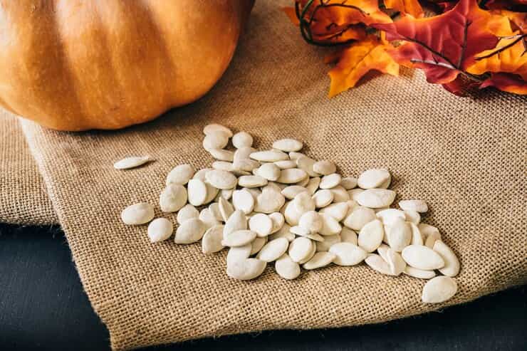 تصویر 4 از قیمت تخمه کدو تنبل+ خرید باور نکردنی
